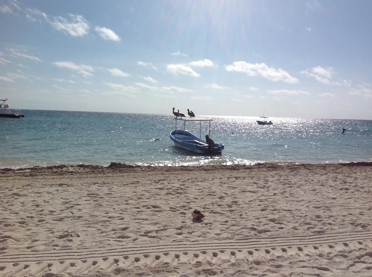 Casa Toucan Lejlighed Puerto Morelos Eksteriør billede