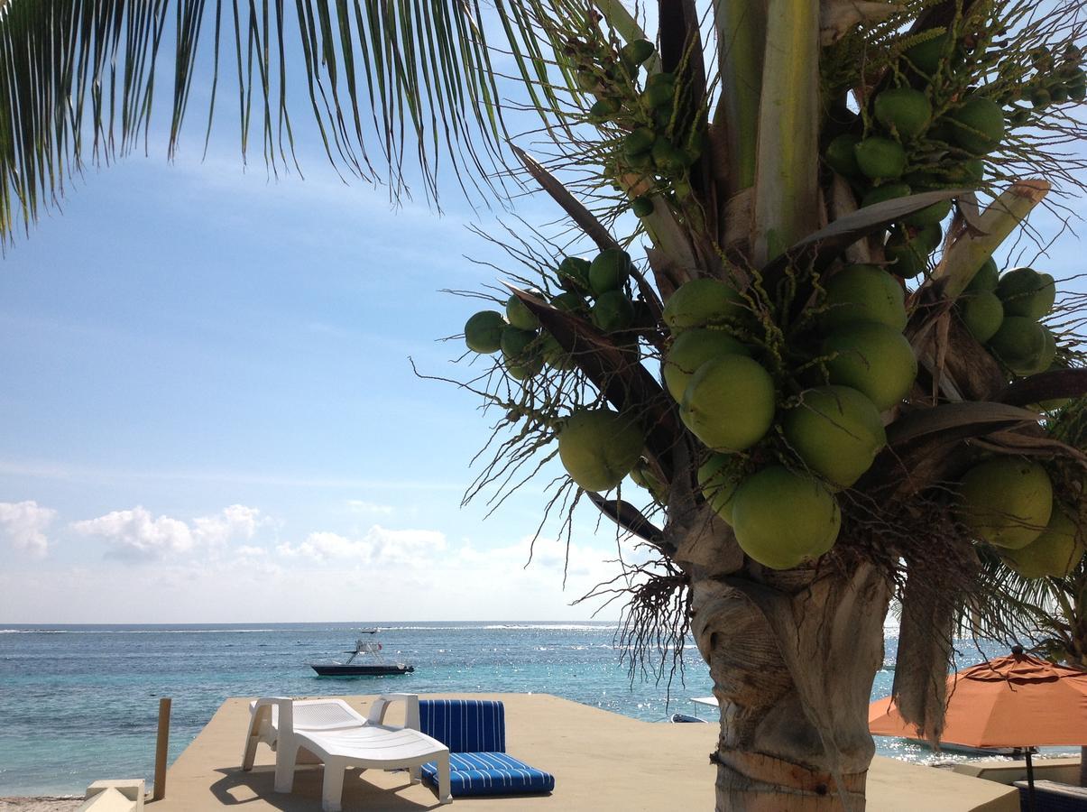 Casa Toucan Lejlighed Puerto Morelos Eksteriør billede